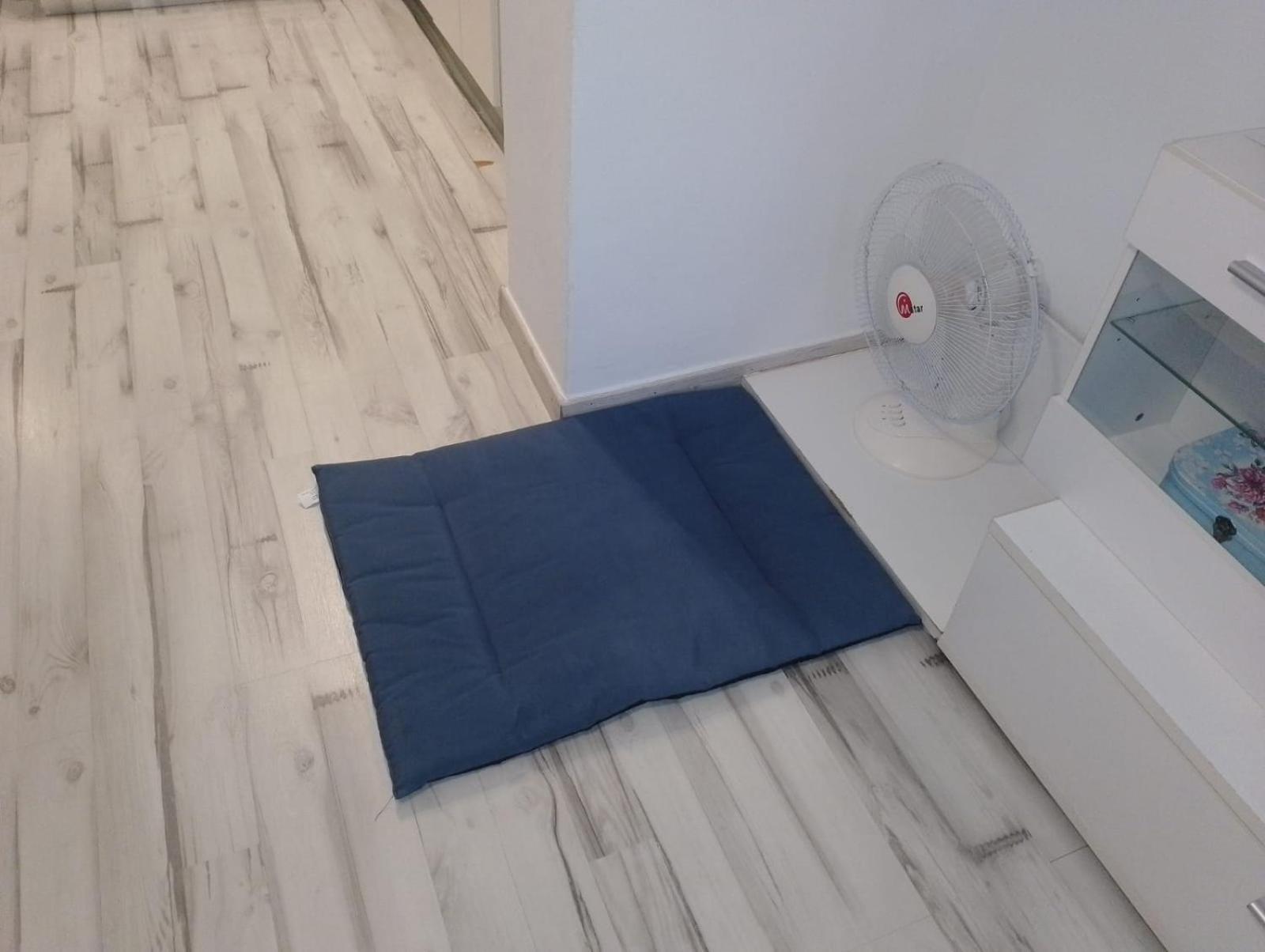 托雷维耶哈Casa Sol Y Mar 3K公寓 客房 照片